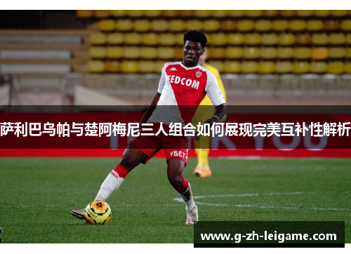 萨利巴乌帕与楚阿梅尼三人组合如何展现完美互补性解析