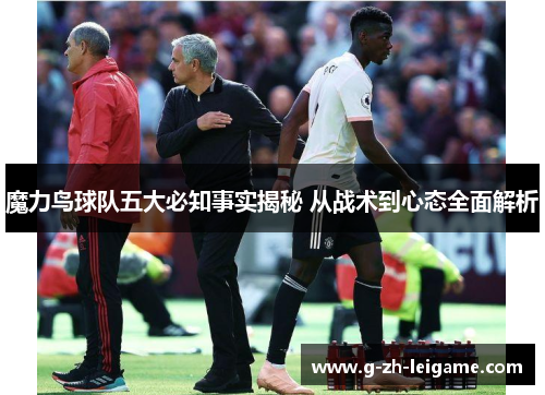 魔力鸟球队五大必知事实揭秘 从战术到心态全面解析